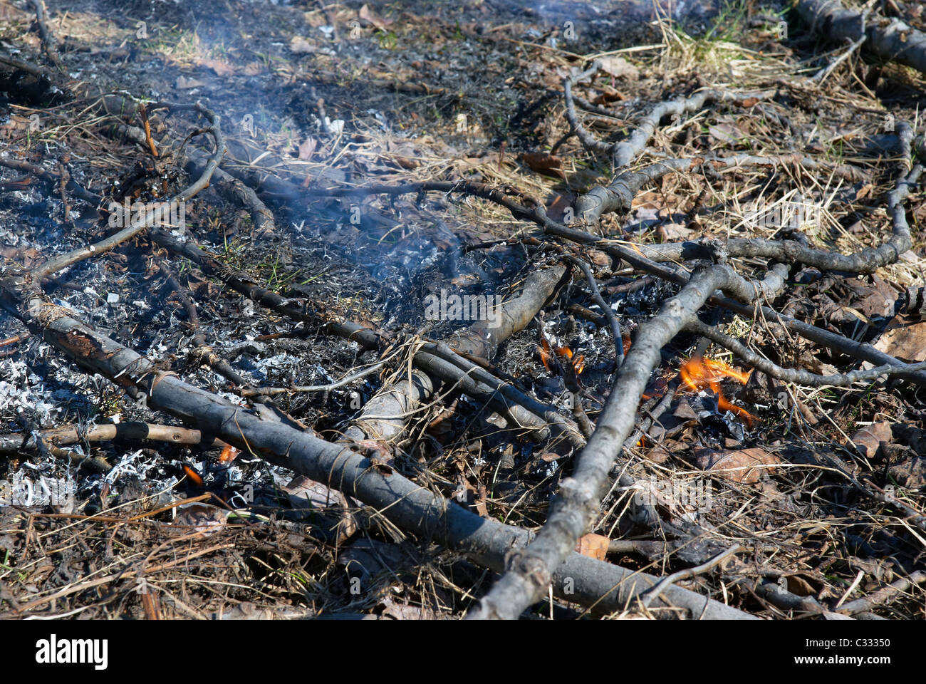 Torfboden, Srublennye Zweigen von Bäumen und kleinen Sprachen der Flamme. Stockfoto