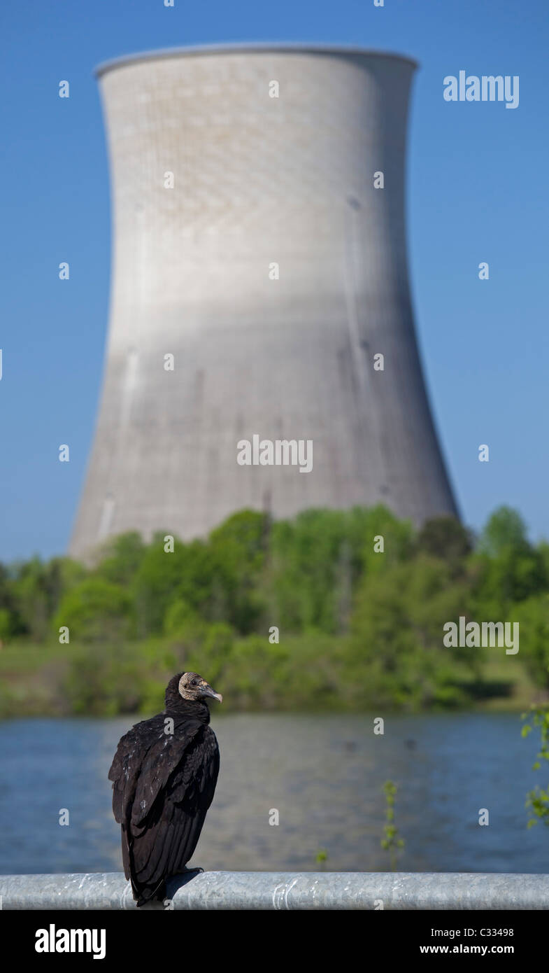 Watts Bar nukleare Kraftwerk Stockfoto