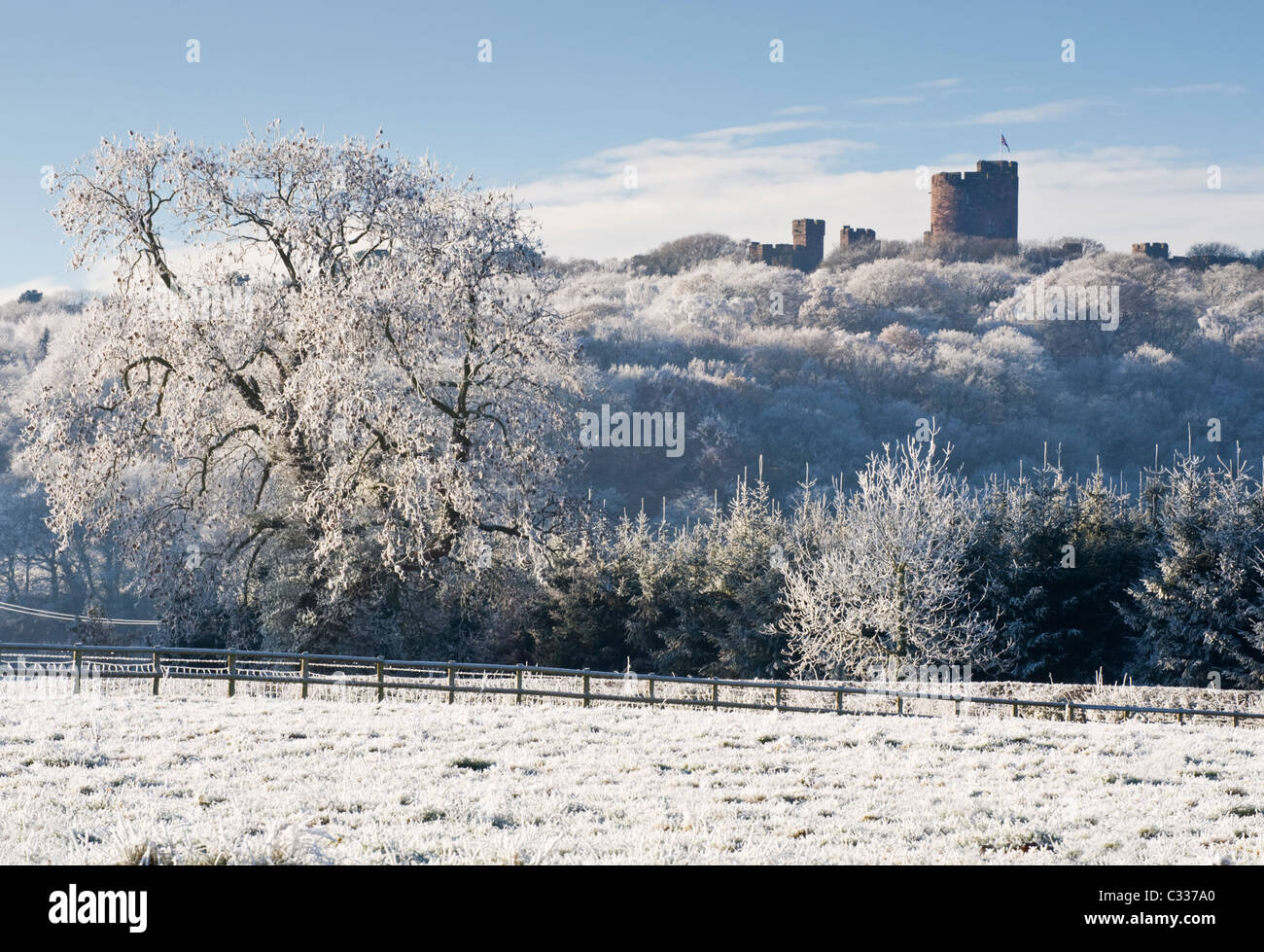 Zinnen Peckforton Burg im Winter, Peckforton Hills, Cheshire, England, UK Stockfoto