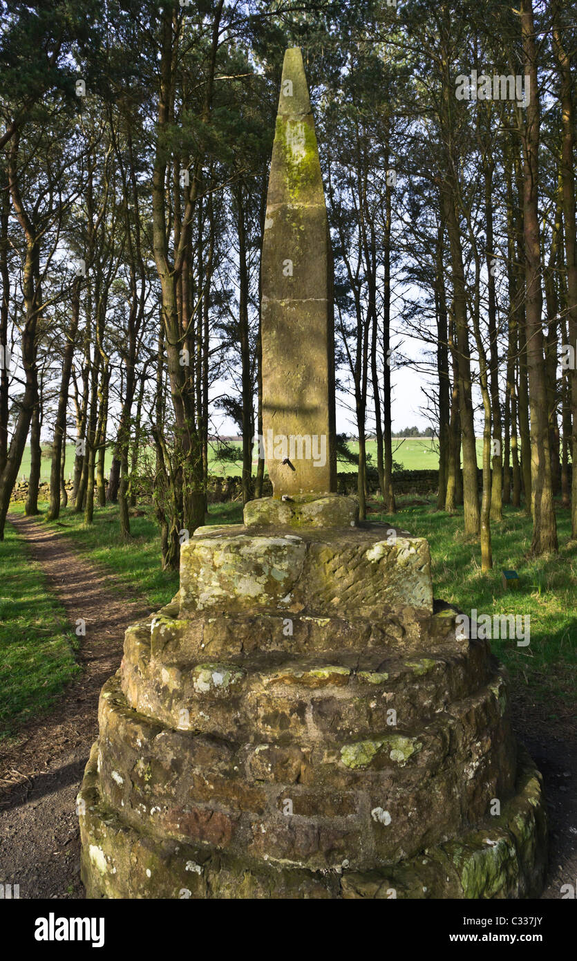 Otteburn Schlachtfeld Northumberland, Großbritannien - das Percy Kreuz Stockfoto