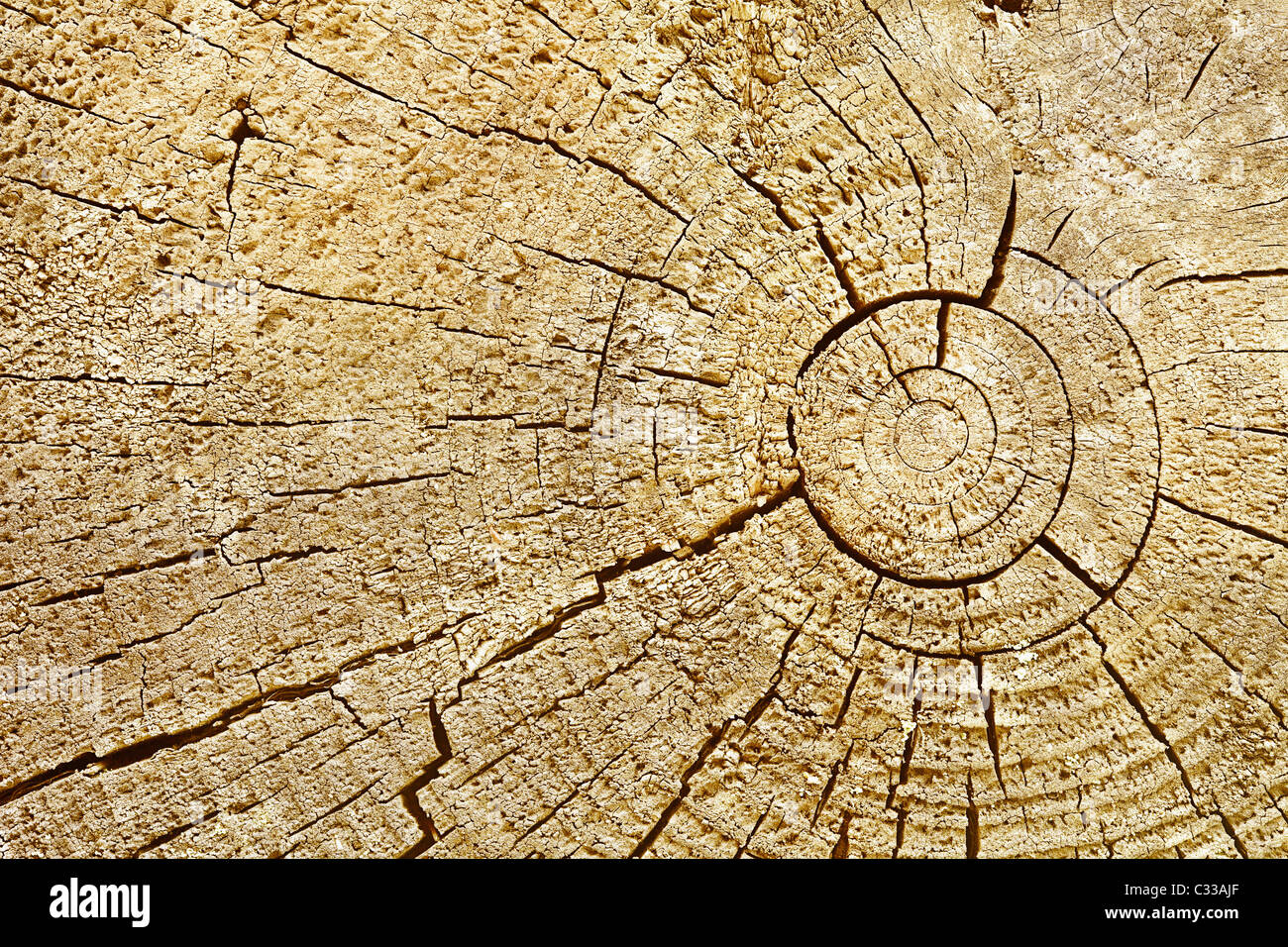 Fotografischen Hintergrund - cut Oberfläche der Holzblock mit Rissen Stockfoto