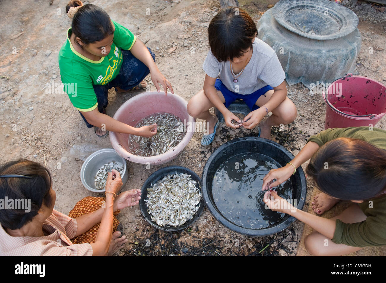 Mädchen und Frauen aus Nord-Ost Thailand Reinigung und Sortierung Süßwasserfisch zum Abendessen. Stockfoto