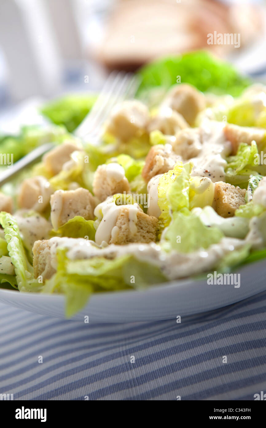 Caesar Salat einfach im Hochformat auf einer blau-weißen Tischdecke angeordnet Stockfoto