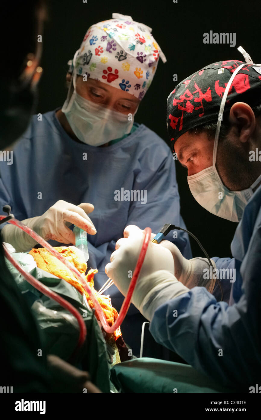 Zwei Ärzte darstellende Hirn-OP im Krankenhaus-OP-Saal Stockfoto