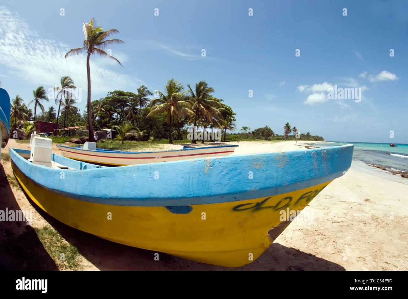 Native Angeln Boot Panga Kokosnußwaldung Paraiso Beach Waula Point Big Corn Island Nicaragua Zentralamerika Stockfoto