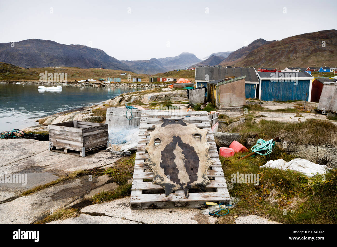Haut, Narsaq, Süd-Grönland zu versiegeln. Stockfoto