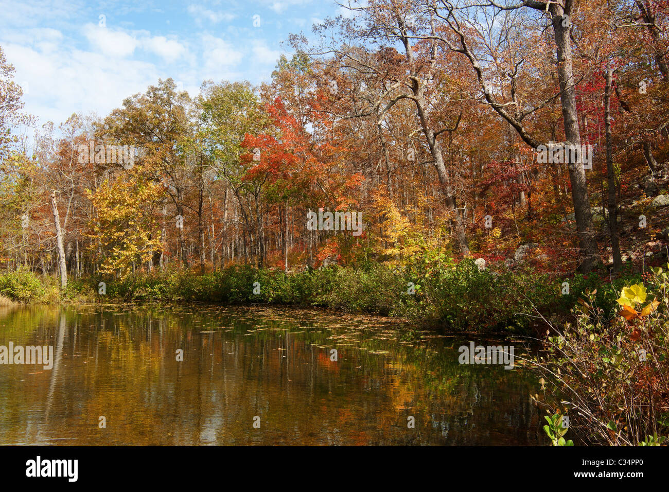 schöne Szene von Missouri im Herbst oder im Herbst Stockfoto