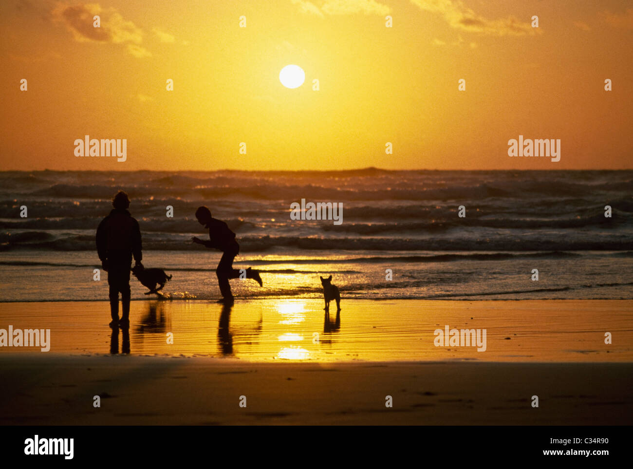 Kinder und Hund am Strand, Silhouette bei Sonnenuntergang Stockfoto