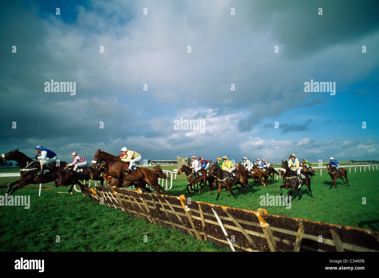 Pferderennen Sie, Galway Races Stockfoto