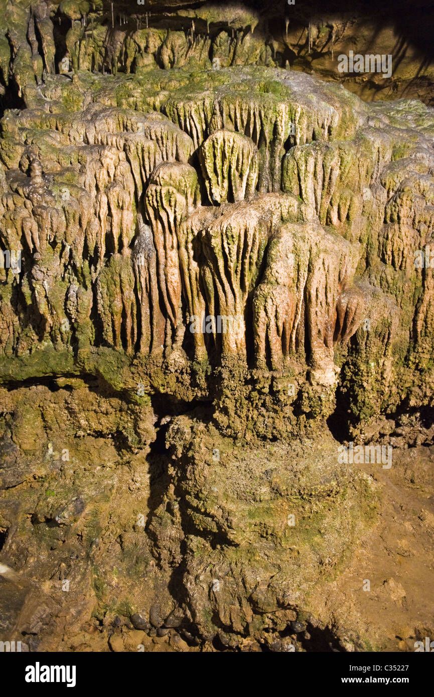 Ingleborough Höhle, Clapham, North Yorkshire Dales. Stockfoto