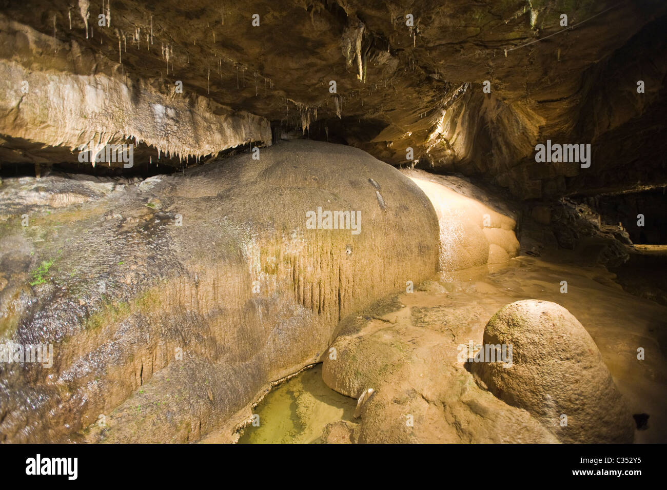 Ingleborough Höhle, Clapham, North Yorkshire Dales. Stockfoto