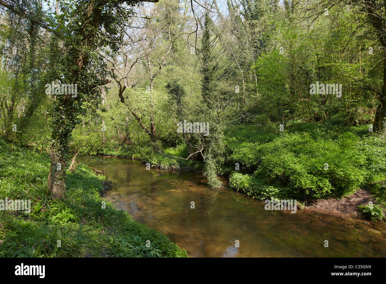 Fluß Derwent fließt durch Valley Forge, East Ayton, North Yorkshire, Scarborough, Großbritannien Stockfoto