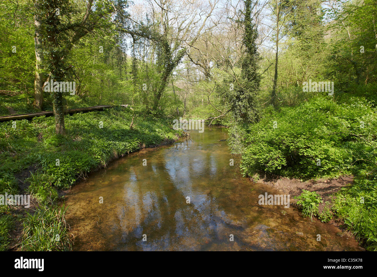 Fluß Derwent fließt durch Valley Forge, East Ayton, North Yorkshire, Scarborough, Großbritannien Stockfoto