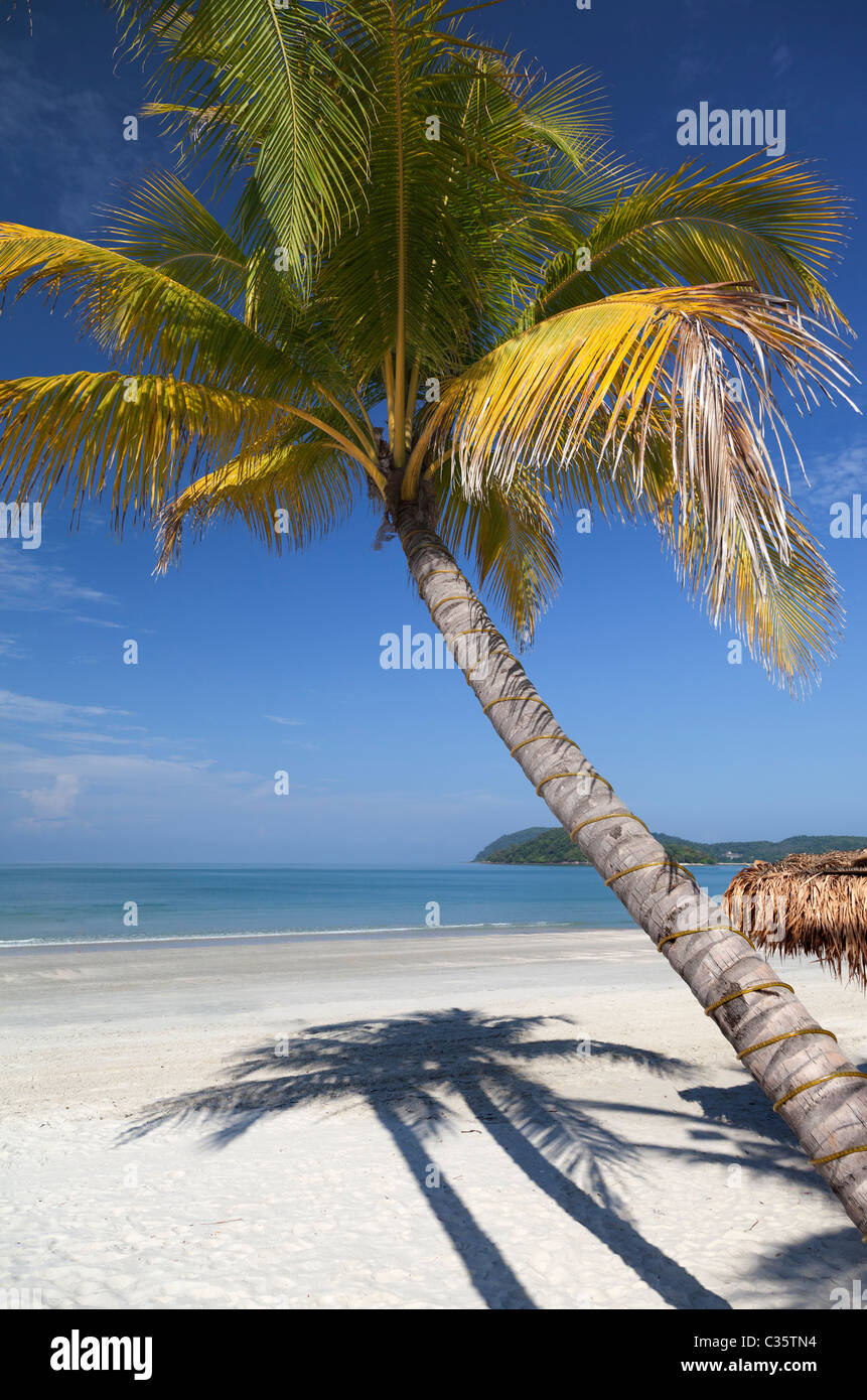 Tropischer Traumstrand am Pantai Cenang auf Langkawi, Malaysia 4 Stockfoto