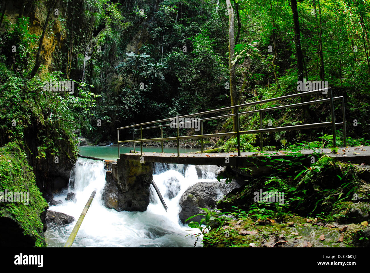 Mineralquelle an der Cranbrook Flower Forest, Saint Ann, Jamaika Stockfoto