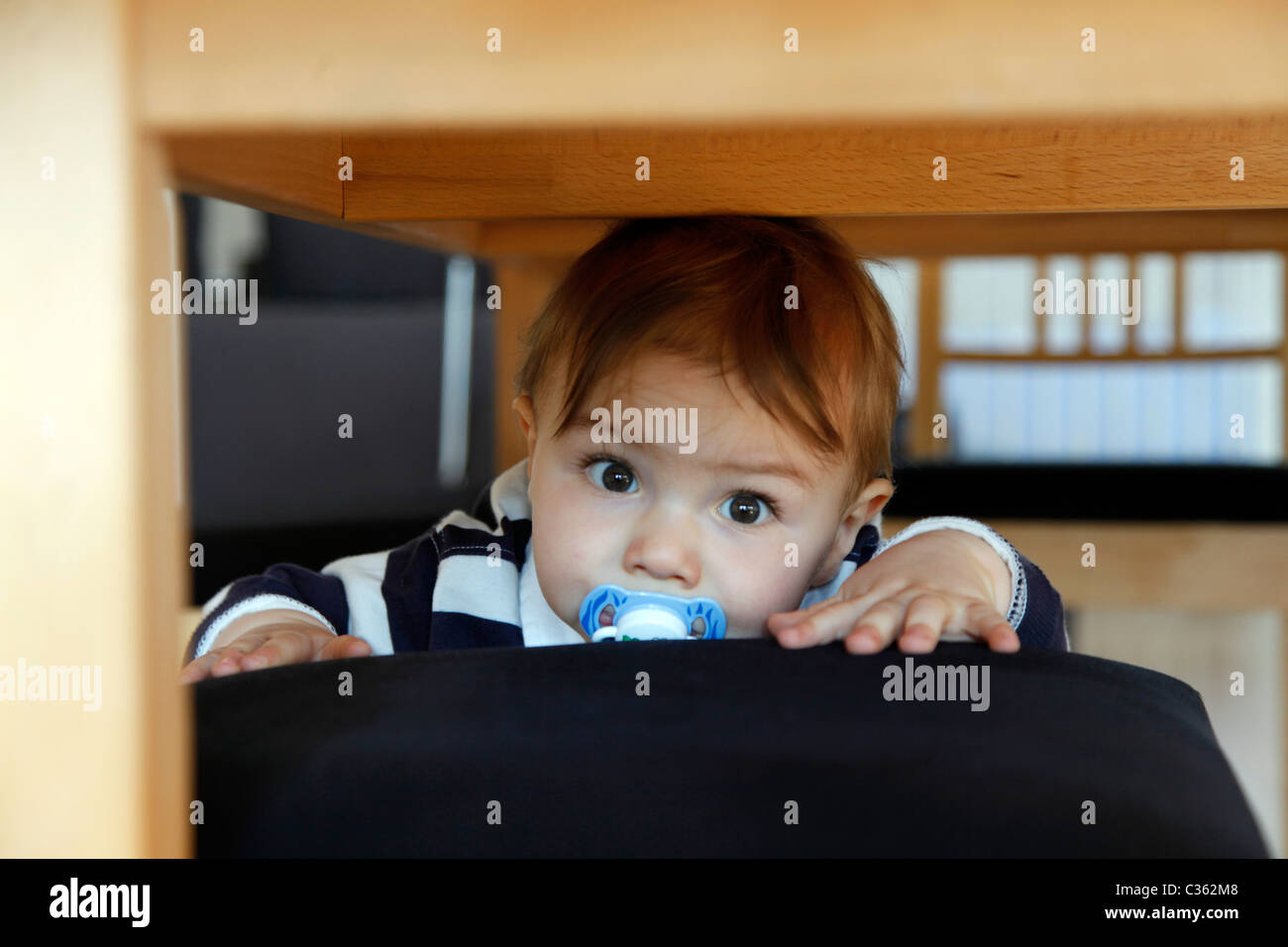 11 Monate altes Baby Junge entdeckt seine Heimat. Suchen Sie sich neugierig auf alles. Stockfoto