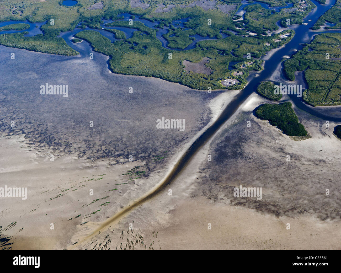 Luftaufnahme Feuchtgebiete Tampa Bay Florida Stockfoto