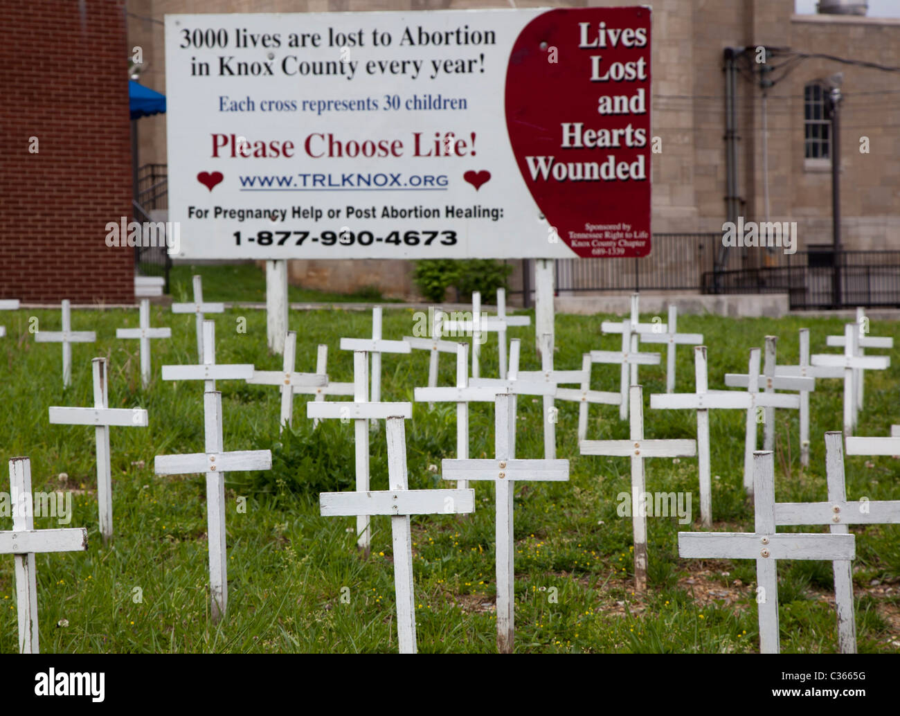 Knoxville, Tennessee - fördert eine Anzeige der Kreuze die Anti-Abtreibungs-Ursache. Stockfoto