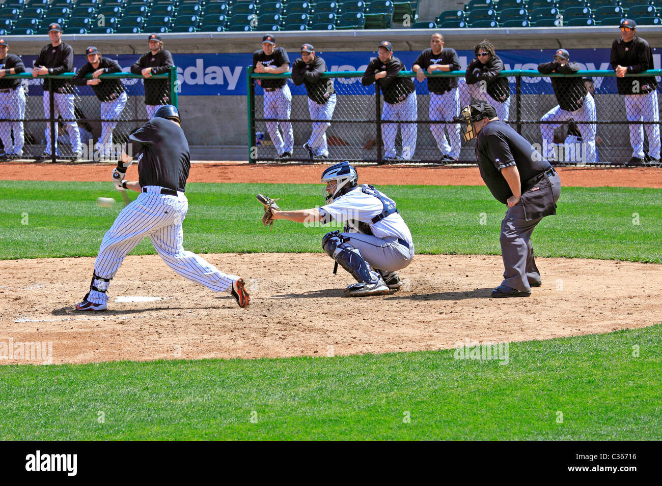 Teig im Baseball, Long Island NY schwingen Stockfoto