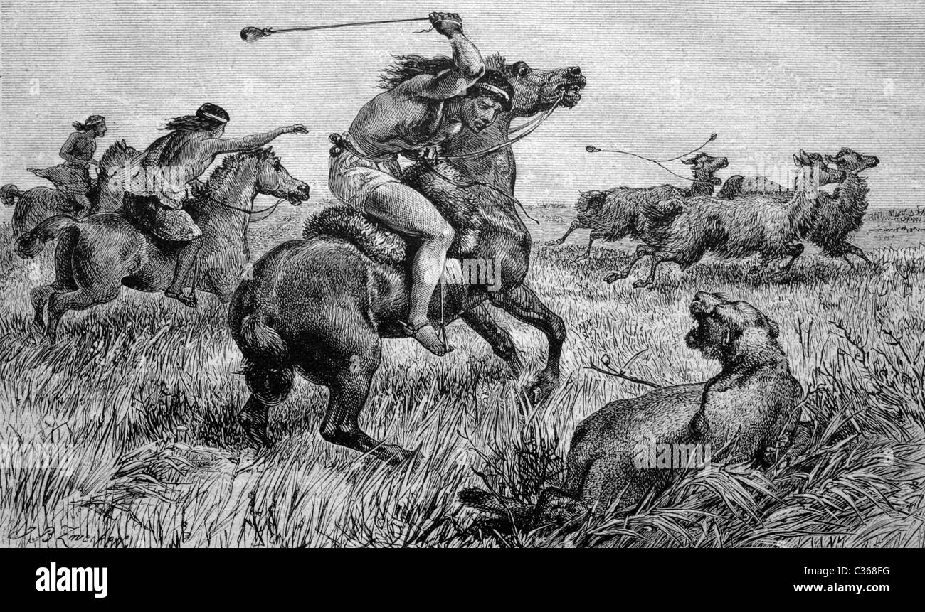 Patagonier Jagd für ein Löwe, Puma, historische Bilder, 1886 Stockfoto
