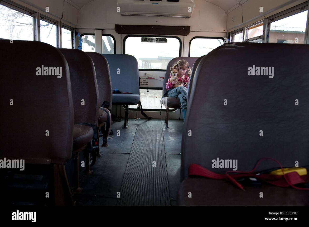 Mädchen hält einen Hund auf einen Schulbus Stockfoto