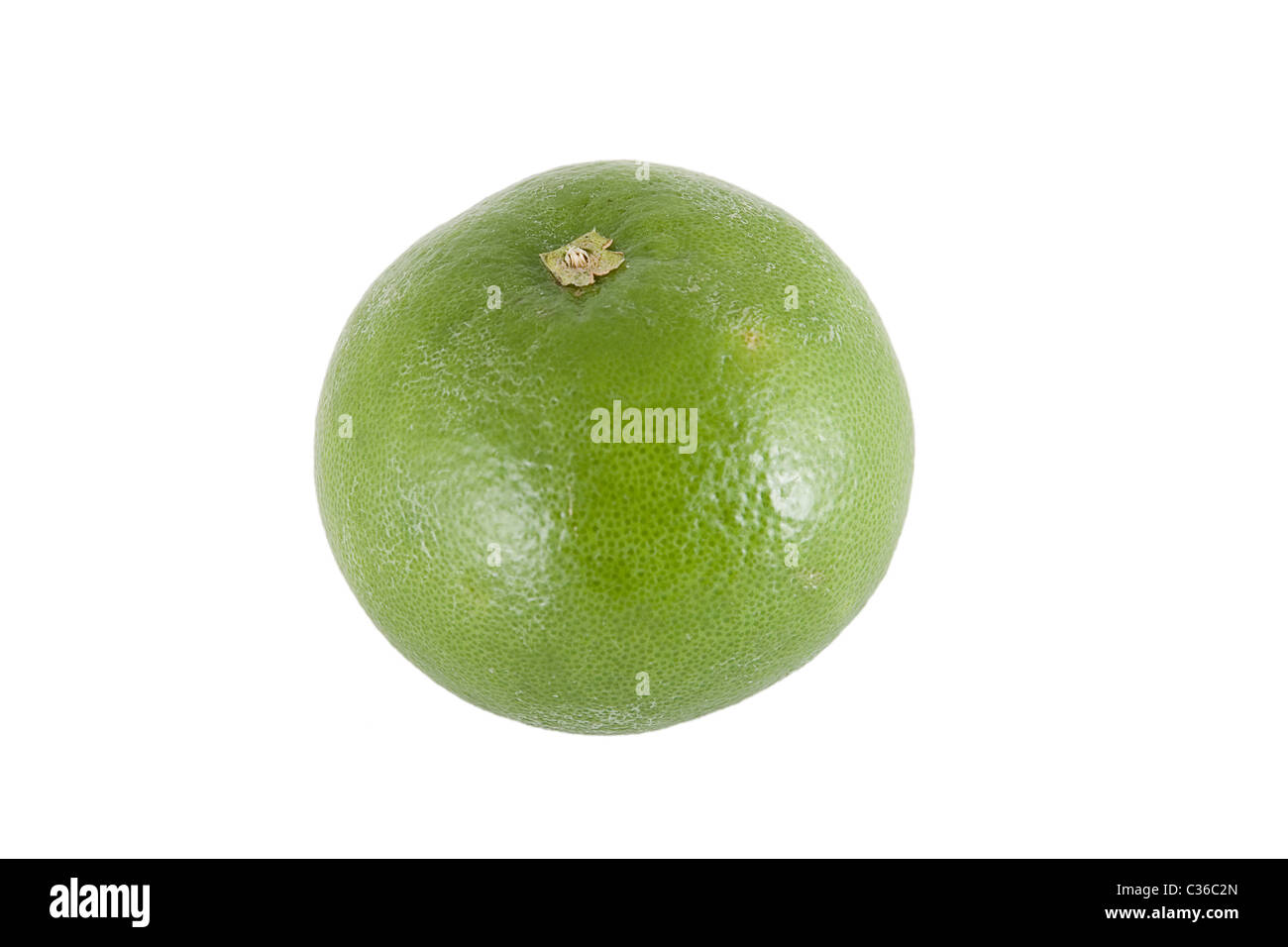 Vorderansicht des grünen süßen Pomelo auf weißem Hintergrund Stockfoto