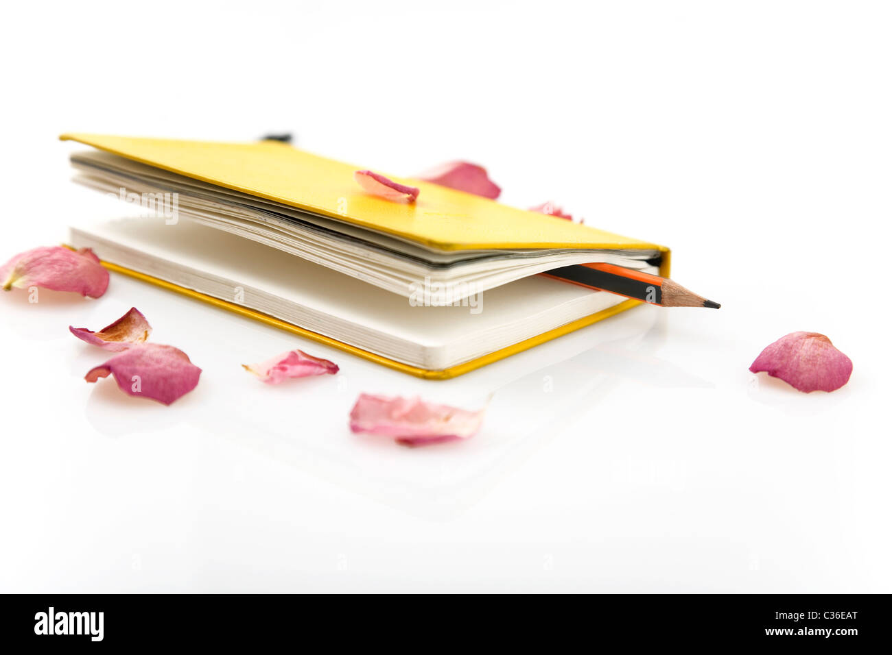 gelbe Notizbuch, Stift und Rosenblüten, isoliert auf weiss Stockfoto