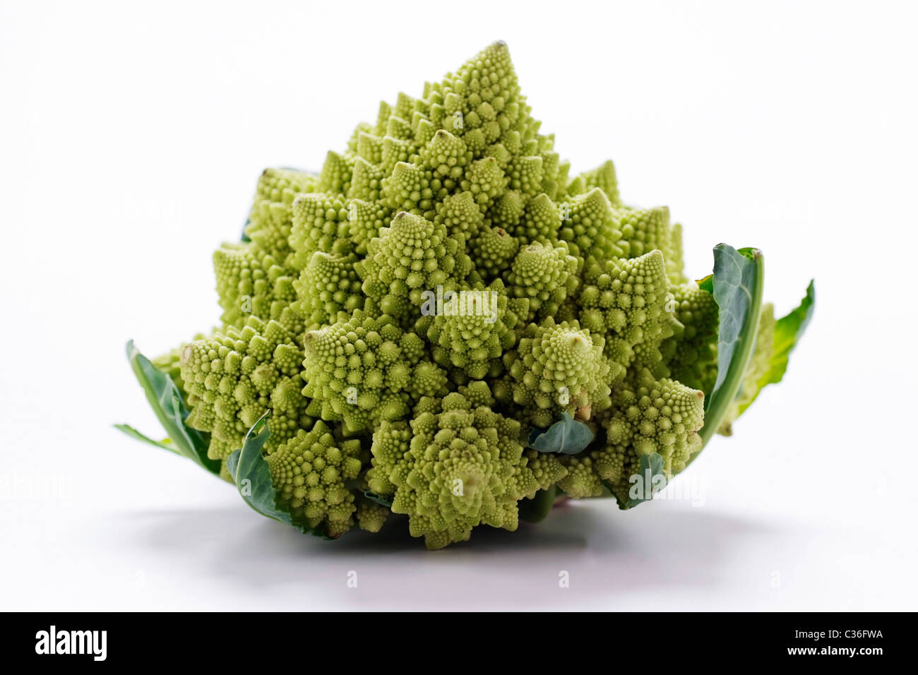 Romanesco Stockfoto