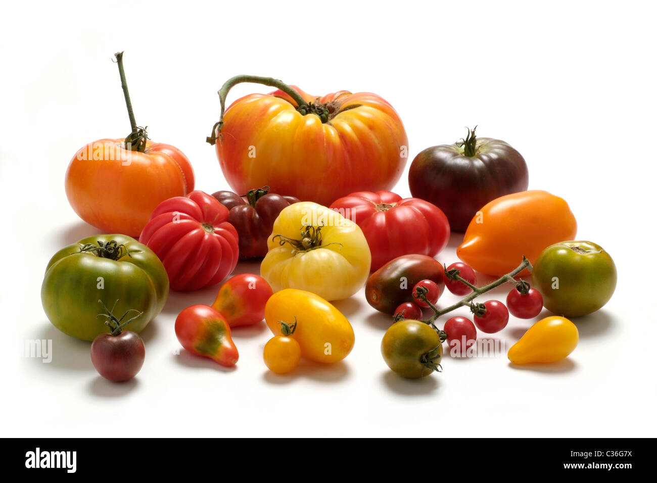 Varieteis Tomaten Stockfoto