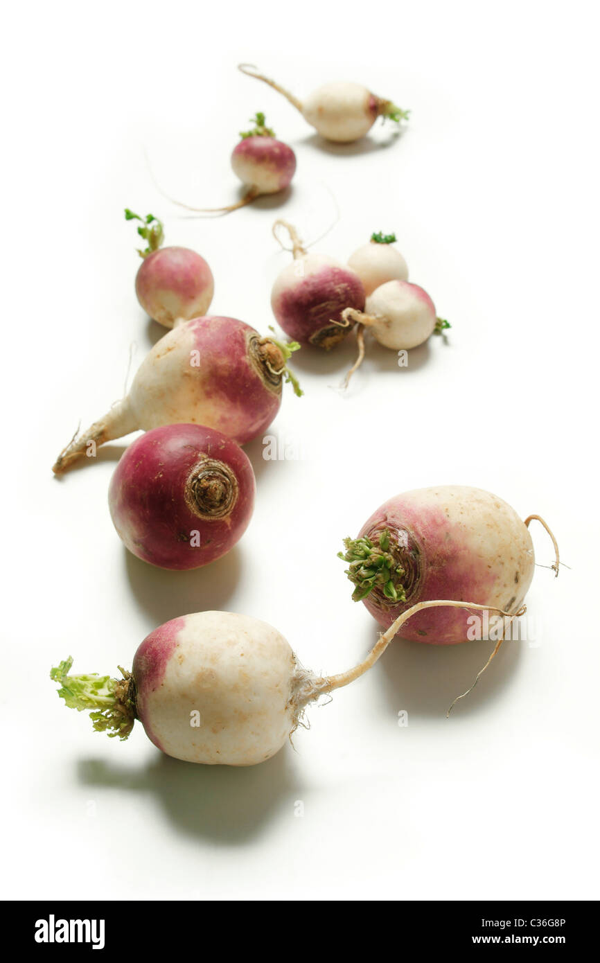 Kohlrabi mit Blättern auf weiß Stockfoto
