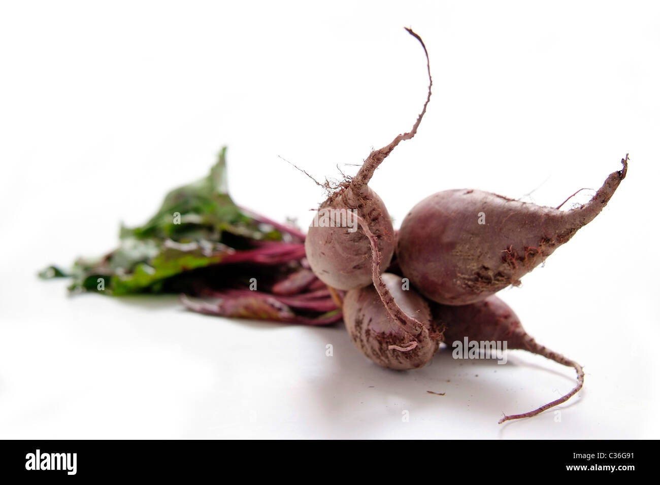 Bündel von rote Beete mit Blättern auf weiß Stockfoto