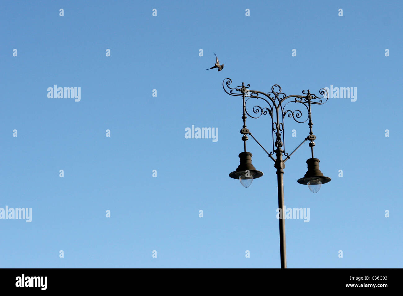 Laternenpfahl und fliegende Taube Stockfoto