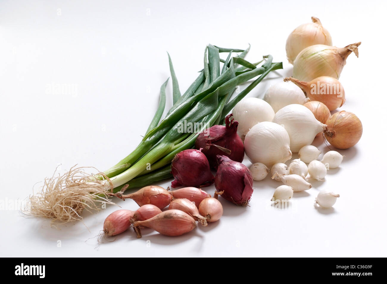 Verschiedene Arten von Zwiebel Stockfoto