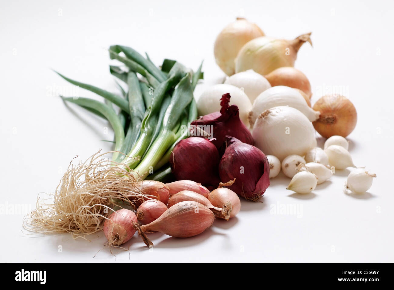 Verschiedene Arten von Zwiebel Stockfoto