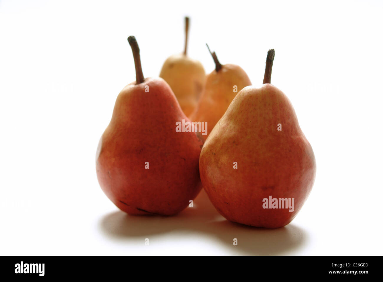 4 Birnen auf weiß Stockfoto