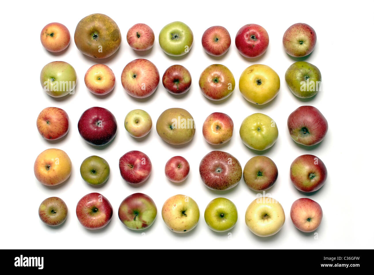 Überblick über verschiedene alte Apfelsorten Stockfoto