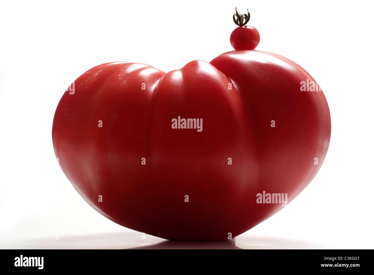 Tomaten in verschiedenen Größen Stockfoto