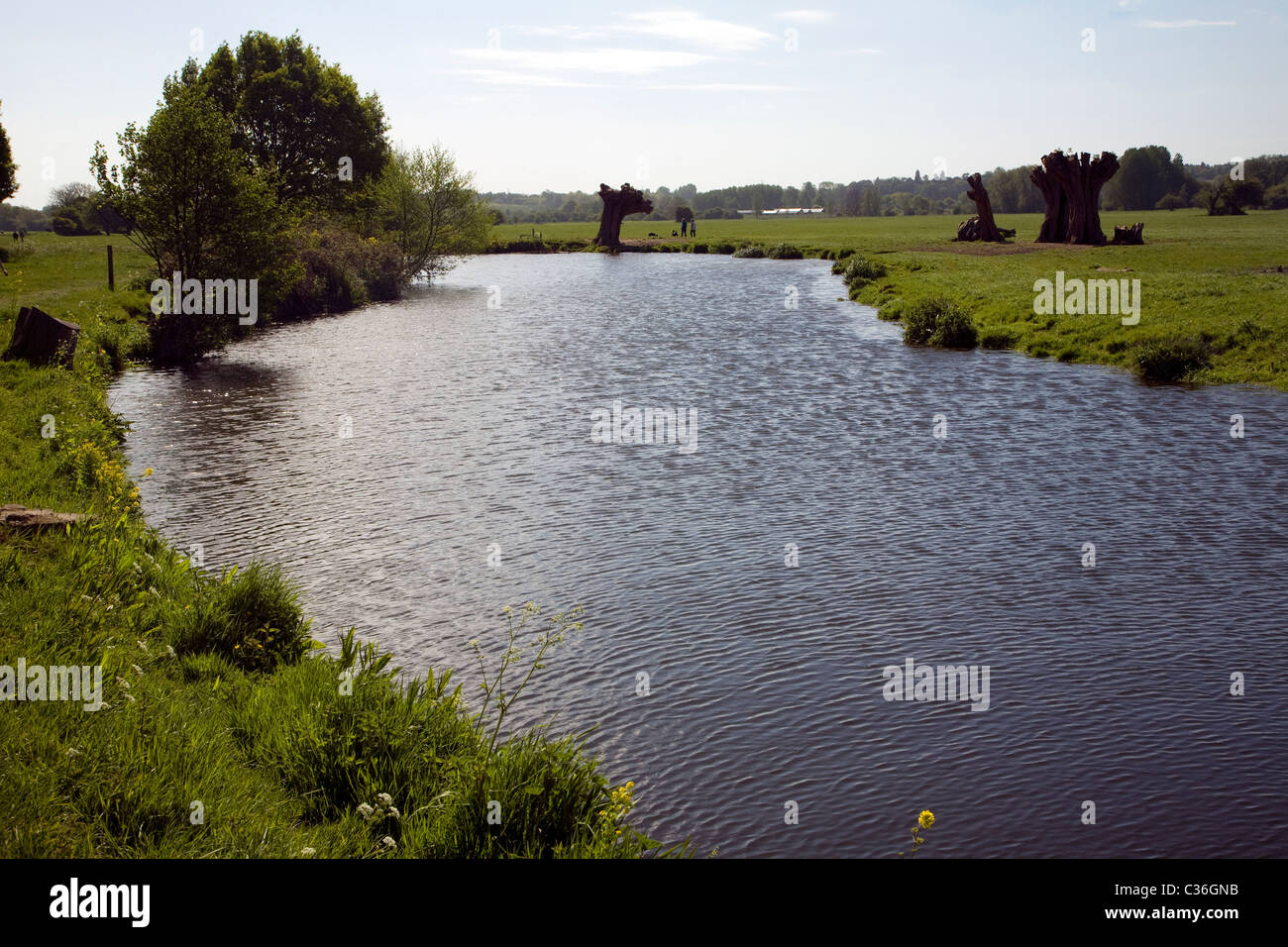 River Stour Dedham Vale Essex Suffolk grenzt an England bestäubte Weiden am Ufer Stockfoto