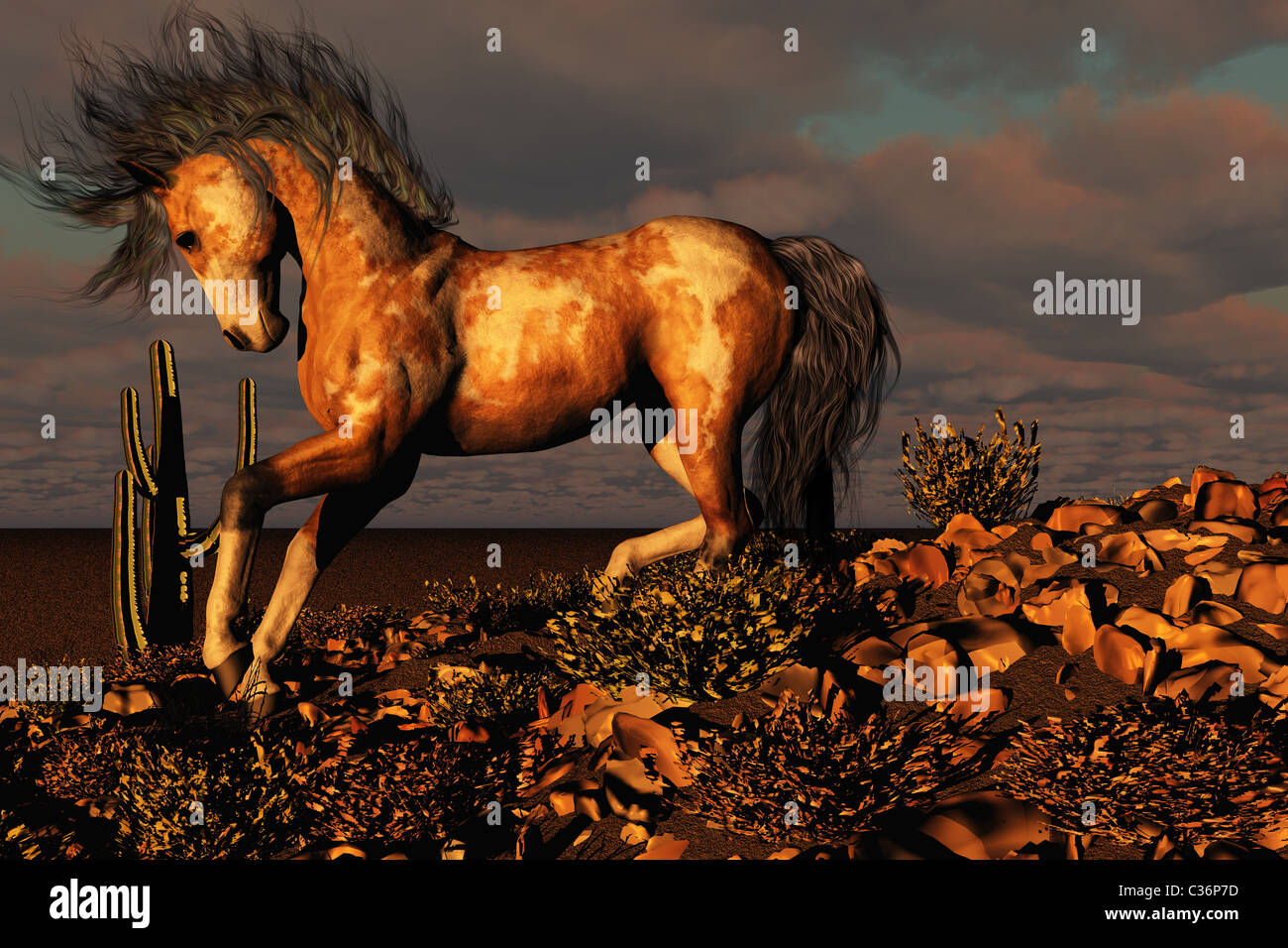 Eine wilde Farben-Pferd läuft auf einem felsigen Hügel in der Wüste. Stockfoto