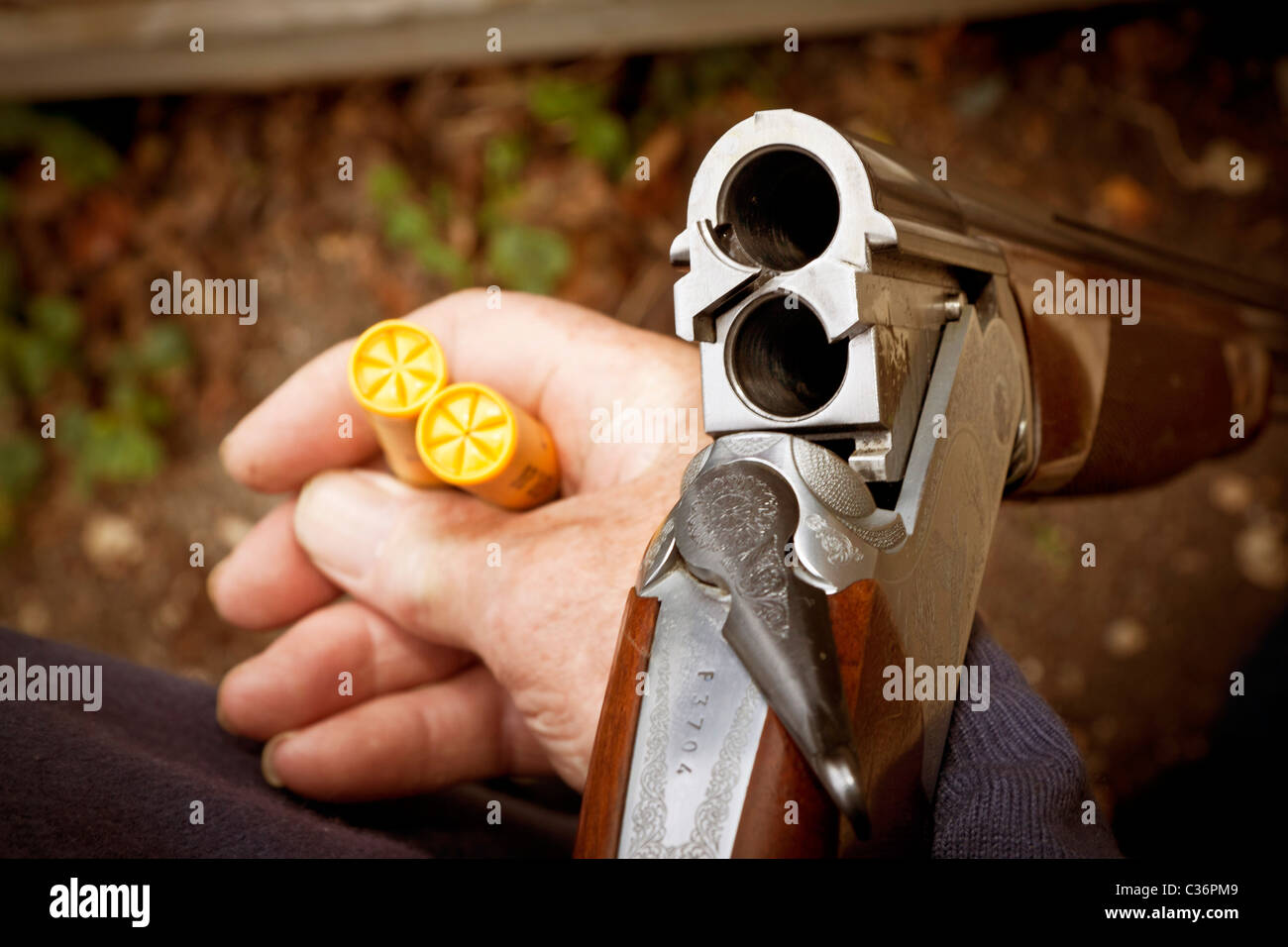 Doppelte Faß Schrotflinte offen bereit für die Beladung von cartridges.landscape format.copy Raum. Stockfoto