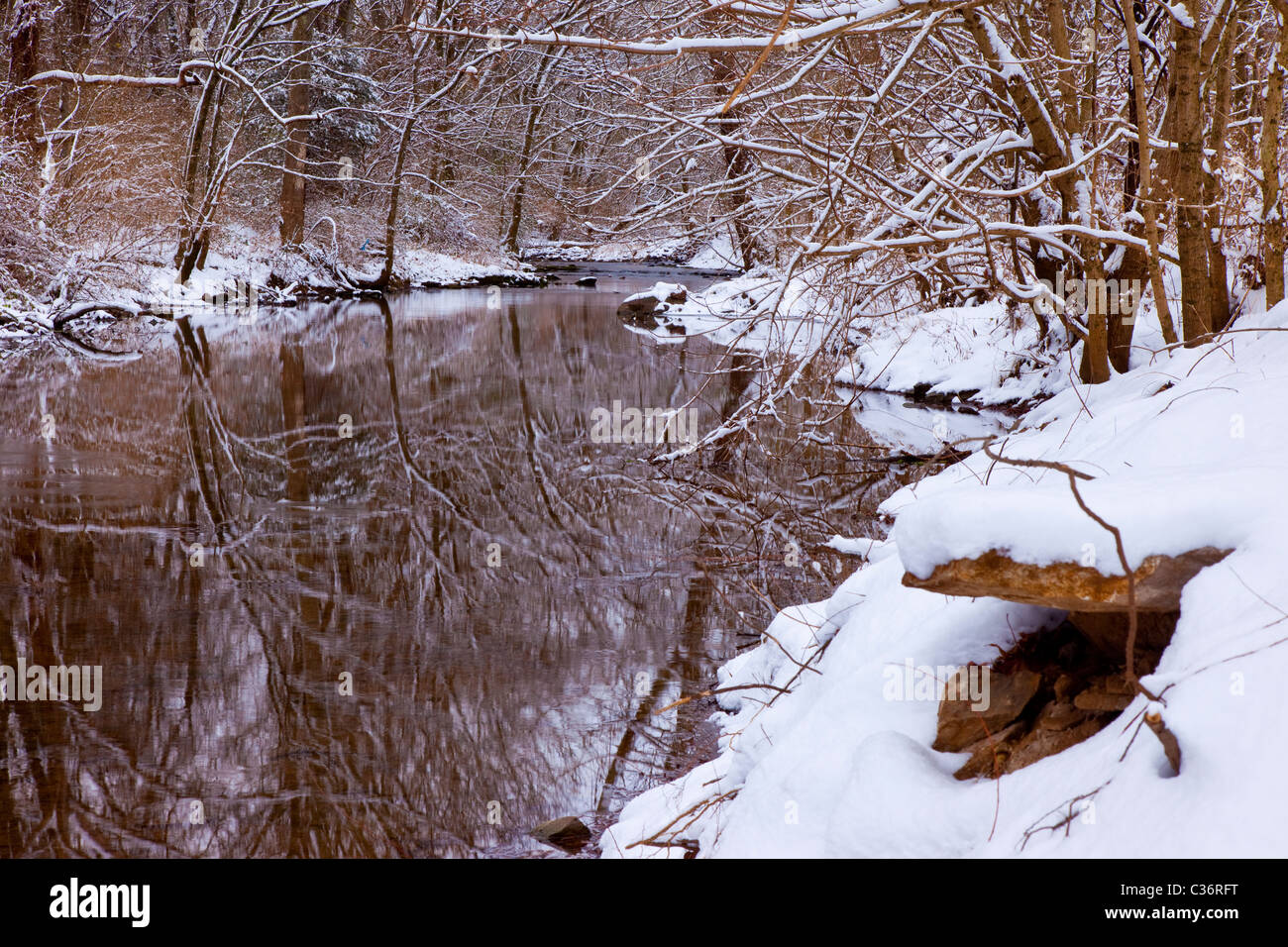 Winter-Bach in der Nähe von Nashville Tennessee, USA Stockfoto