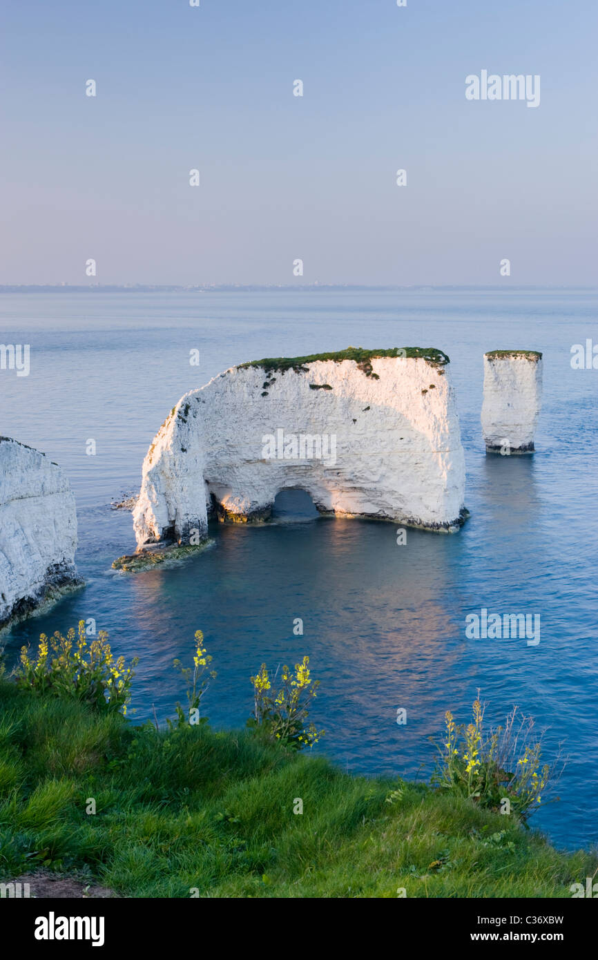 Old Harry Rocks, Studland, Dorset, Großbritannien Stockfoto