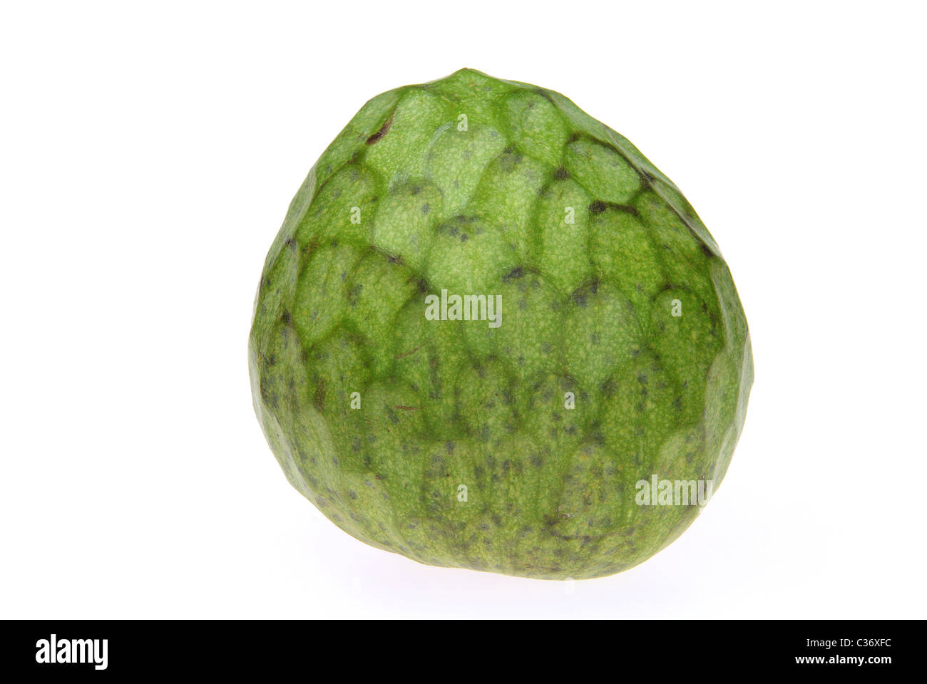 Cherimoya 17 Stockfoto