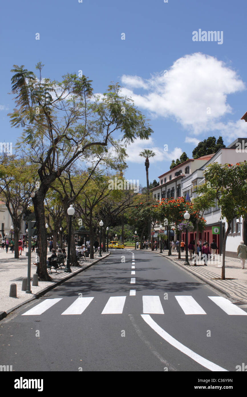 Blick entlang der Avenida Arriaga Funchal Madeira Stockfoto