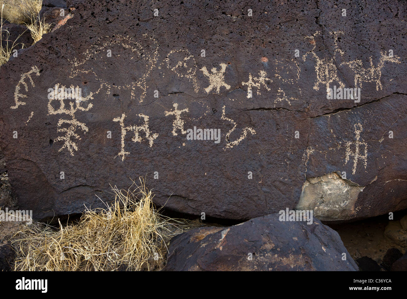 Indianische Petroglyphen in Rinconada Canyon im Petroglyph National Monument, Albuquerque, New Mexico, USA. Stockfoto