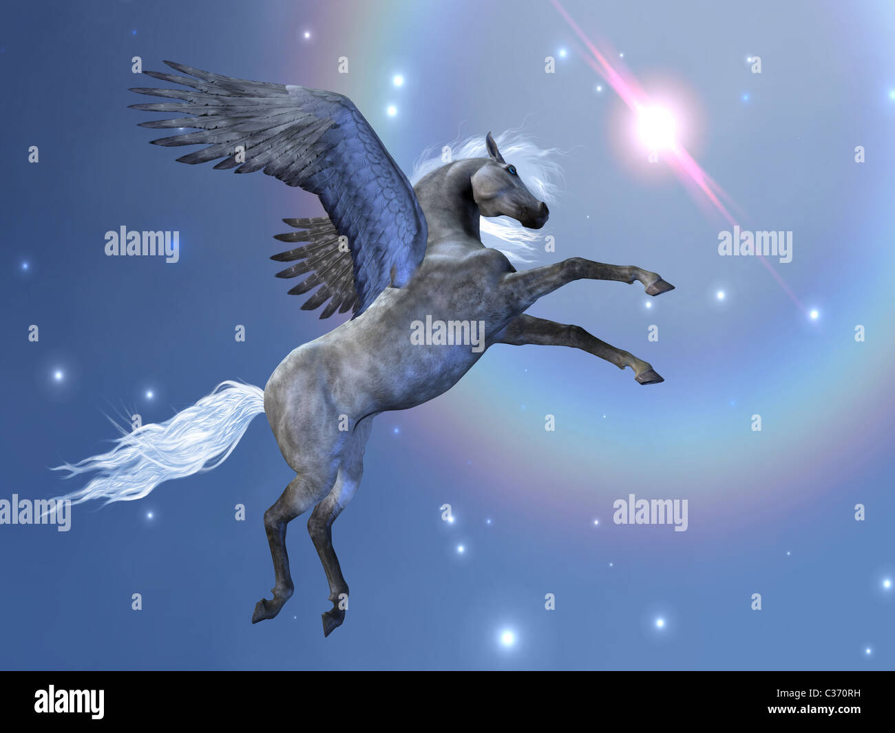 Pegasus fliegt nach oben unter den Sternen am Himmel. Stockfoto