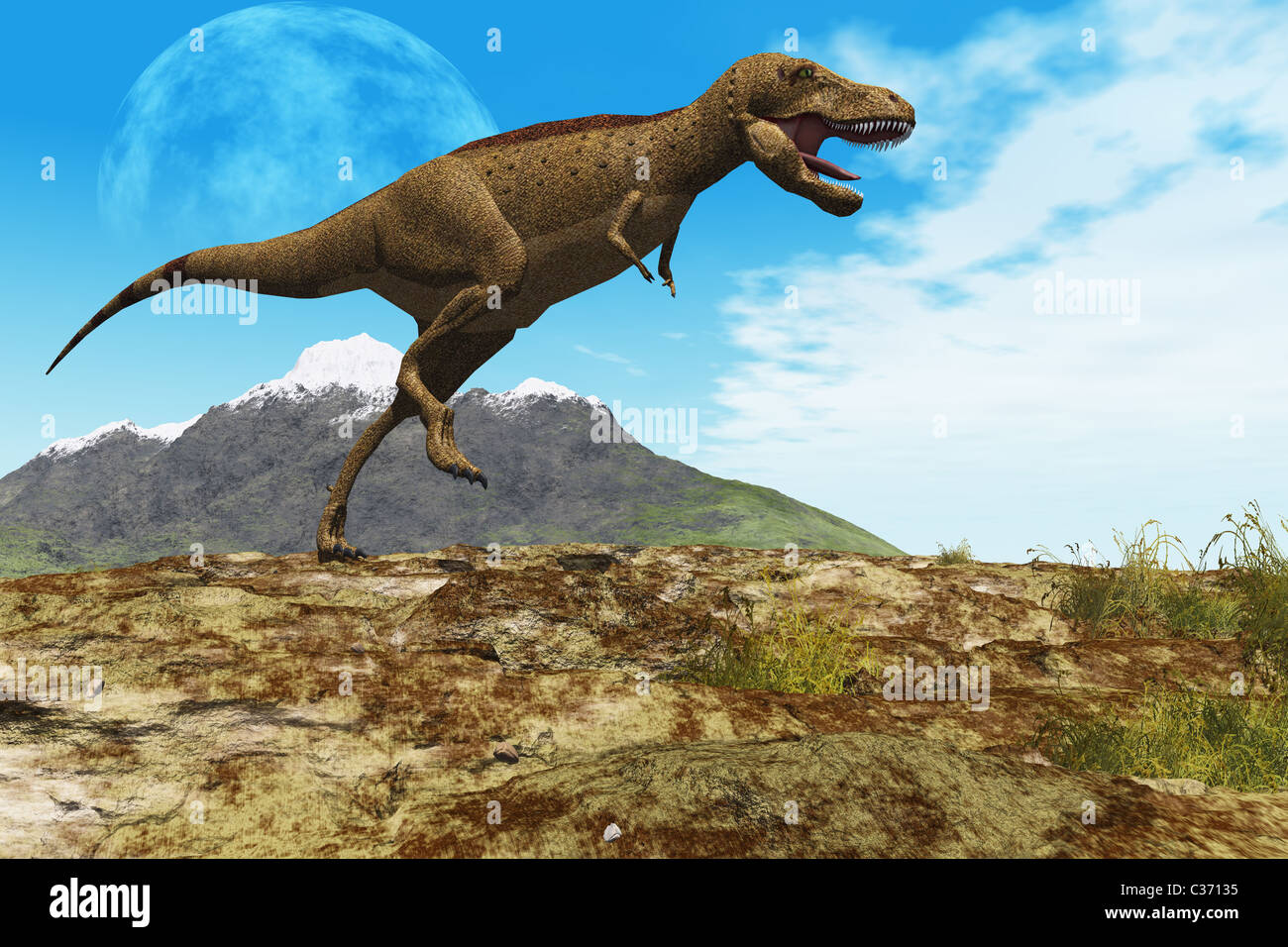 Ein Tyrannosaurus Rex Dinosaurier führt durch sein Revier. Stockfoto