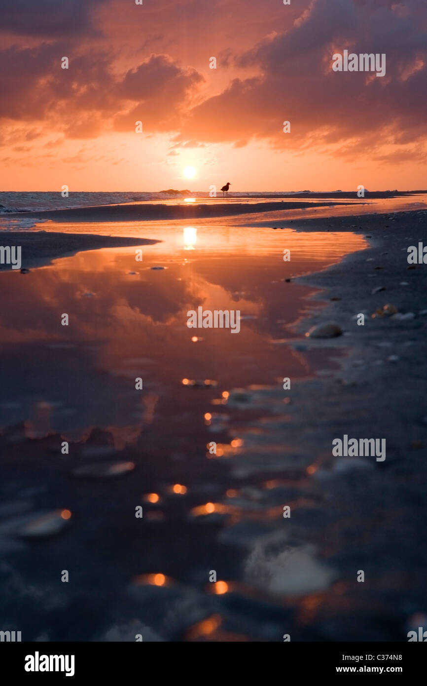 Sonnenuntergang am Strand von Bowmans - Sanibel Island, Florida Stockfoto