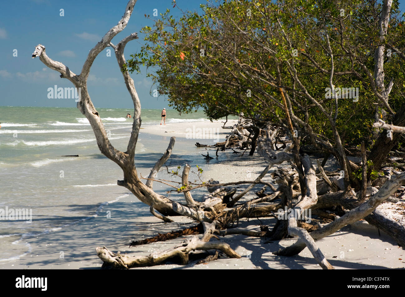 Lighthouse Beach (Point Ybel) - Sanibel Island, Florida USA Stockfoto