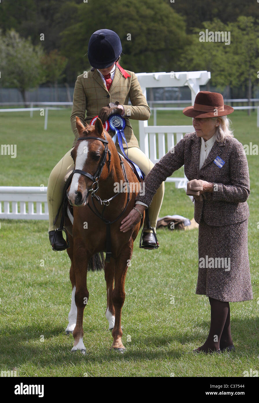Richter vergibt ein Pferd und Reiter ihre Auszeichnung in einem Reiter-Show-Event im ländlichen england Stockfoto